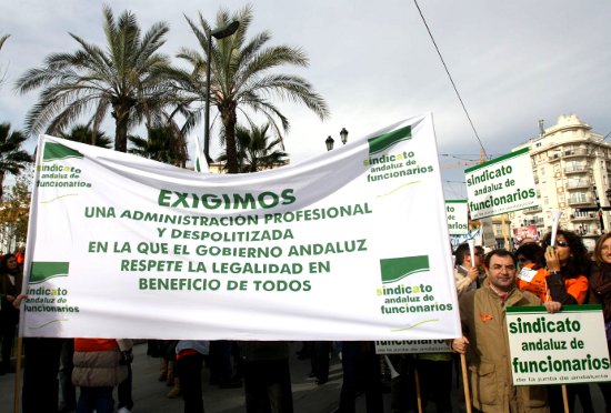 escrito pld cadiz